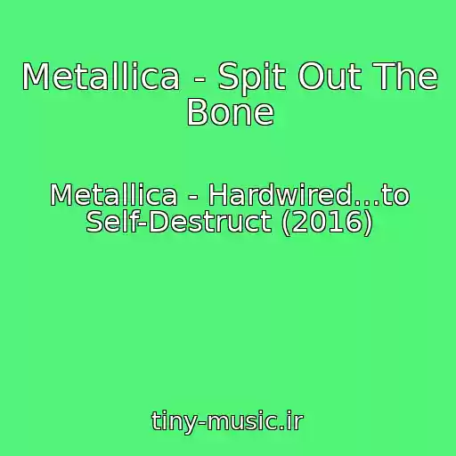 کاور آهنگ Metallica - Spit Out The Bone از Metallica - Hardwired…to Self-Destruct (2016)