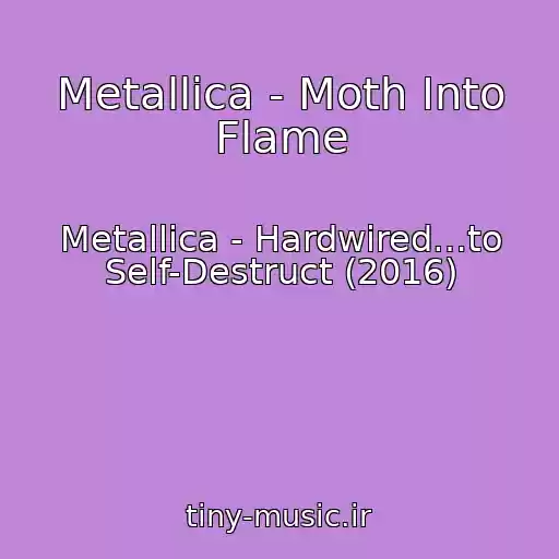 کاور آهنگ Metallica - Moth Into Flame از Metallica - Hardwired…to Self-Destruct (2016)