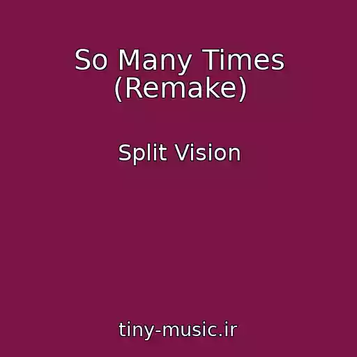 کاور آهنگ So Many Times (Remake) از Split Vision