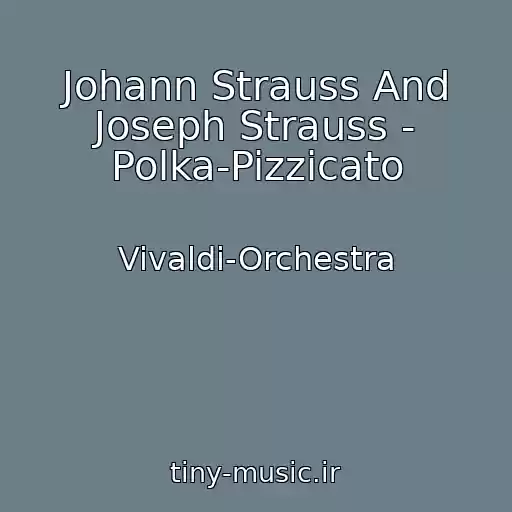 کاور آهنگ Johann Strauss And Joseph Strauss - Polka-Pizzicato از Vivaldi-Orchestra