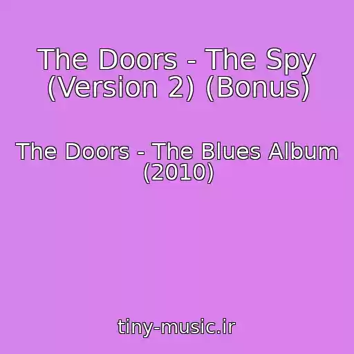 کاور آهنگ The Doors - The Spy (Version 2) (Bonus) از The Doors - The Blues Album (2010)