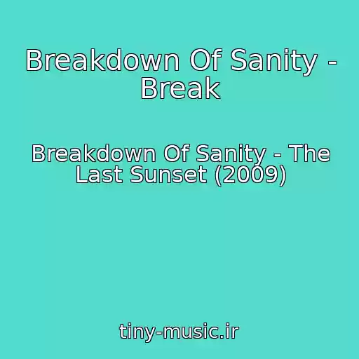 کاور آهنگ Breakdown Of Sanity - Break از Breakdown Of Sanity - The Last Sunset (2009)