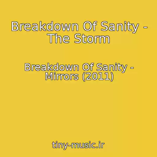 کاور آهنگ Breakdown Of Sanity - The Storm از Breakdown Of Sanity - Mirrors (2011)