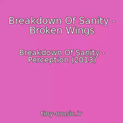 کاور آهنگ Breakdown Of Sanity - Broken Wings از Breakdown Of Sanity - Perception (2013)