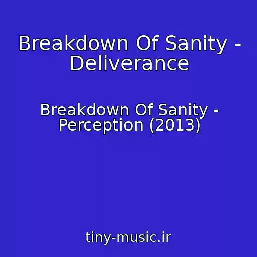 کاور آهنگ Breakdown Of Sanity - Deliverance از Breakdown Of Sanity - Perception (2013)