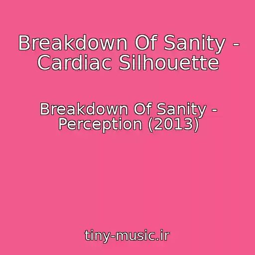 کاور آهنگ Breakdown Of Sanity - Cardiac Silhouette از Breakdown Of Sanity - Perception (2013)