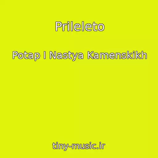 کاور آهنگ Prileleto از Potap І Nastya Kamenskikh