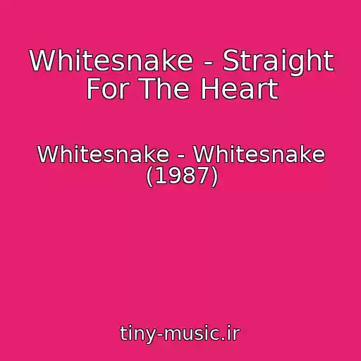 کاور آهنگ Whitesnake - Straight For The Heart از Whitesnake - Whitesnake (1987)