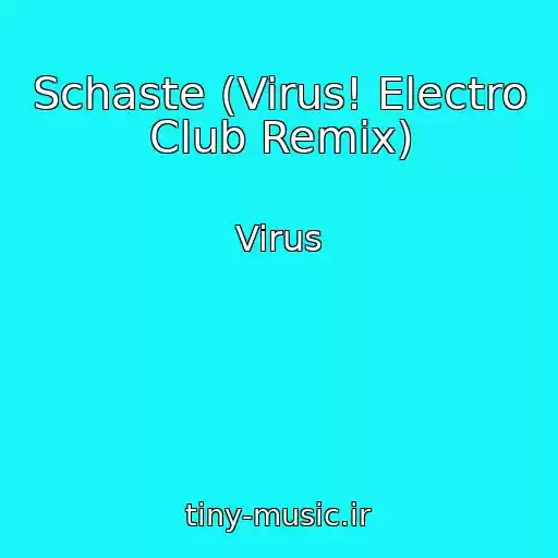 کاور آهنگ Schaste (Virus! Electro Club Remix) از Virus