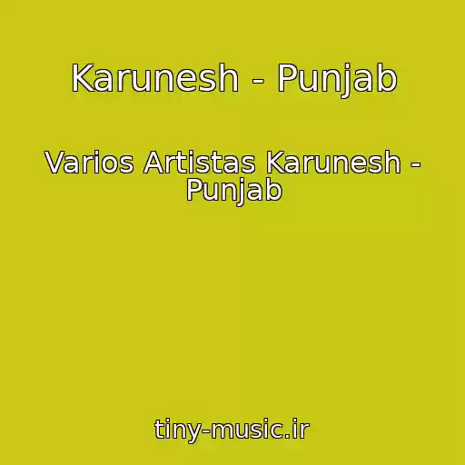 کاور آهنگ Karunesh - Punjab از Varios Artistas Karunesh - Punjab