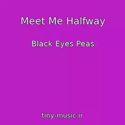 کاور آهنگ Meet Me Halfway از Black Eyes Peas