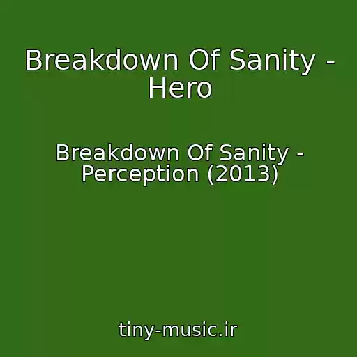 کاور آهنگ Breakdown Of Sanity - Hero از Breakdown Of Sanity - Perception (2013)
