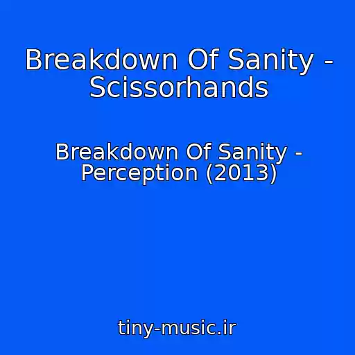 کاور آهنگ Breakdown Of Sanity - Scissorhands از Breakdown Of Sanity - Perception (2013)
