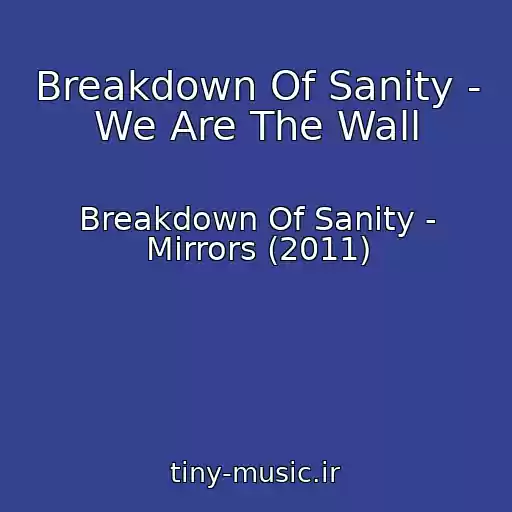 کاور آهنگ Breakdown Of Sanity - We Are The Wall از Breakdown Of Sanity - Mirrors (2011)