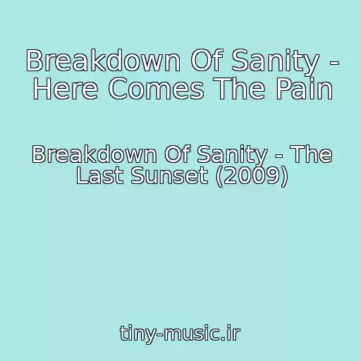 کاور آهنگ Breakdown Of Sanity - Here Comes The Pain از Breakdown Of Sanity - The Last Sunset (2009)