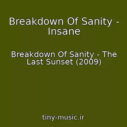 کاور آهنگ Breakdown Of Sanity - Insane از Breakdown Of Sanity - The Last Sunset (2009)