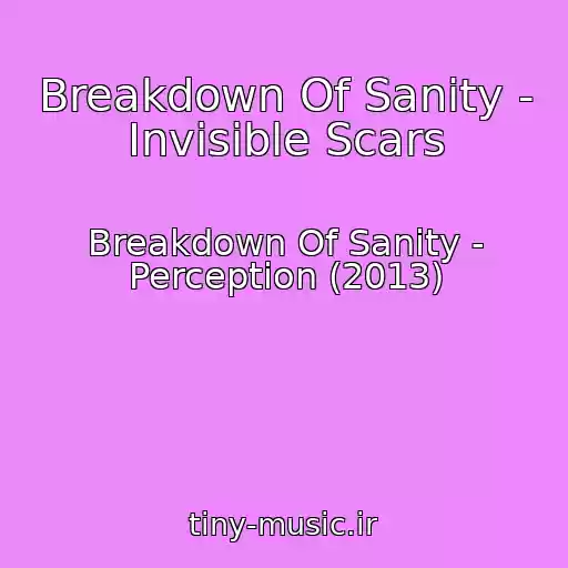 کاور آهنگ Breakdown Of Sanity - Invisible Scars از Breakdown Of Sanity - Perception (2013)