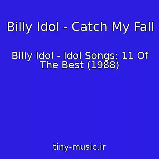 کاور آهنگ Billy Idol - Catch My Fall از Billy Idol - Idol Songs: 11 Of The Best (1988)