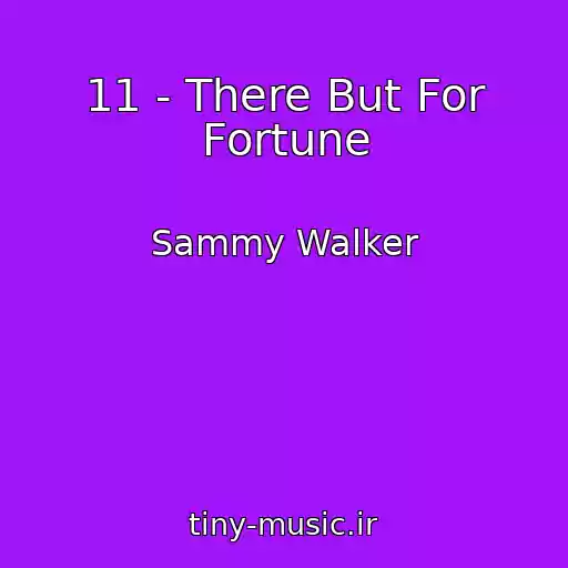کاور آهنگ 11 - There But For Fortune از Sammy Walker