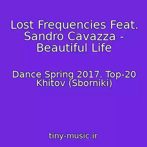 کاور آهنگ Lost Frequencies Feat. Sandro Cavazza - Beautiful Life از Dance Spring 2017. Top-20 Khitov (Sborniki)