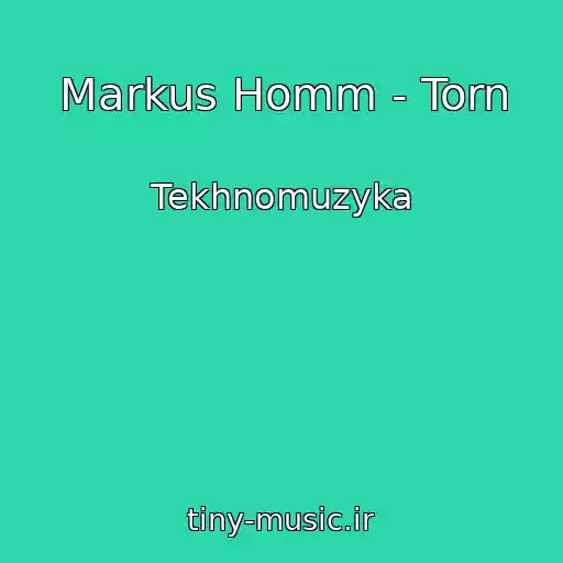 کاور آهنگ Markus Homm - Torn از Tekhnomuzyka
