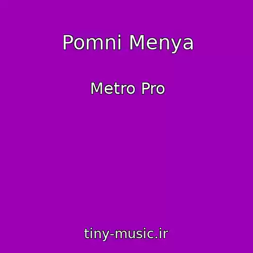 کاور آهنگ Pomni Menya از Metro Pro