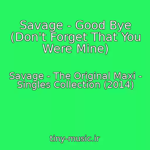 کاور آهنگ Savage - Good Bye (Don't Forget That You Were Mine) از Savage - The Original Maxi - Singles Collection (2014)