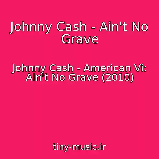 کاور آهنگ Johnny Cash - Ain't No Grave از Johnny Cash - American Vi: Ain't No Grave (2010)