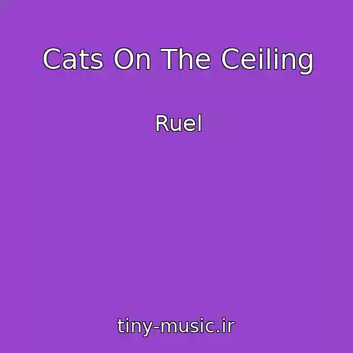 کاور آهنگ Cats On The Ceiling از Ruel