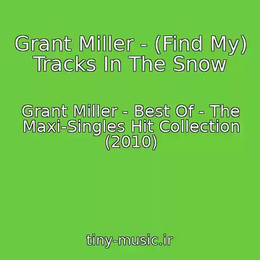 کاور آهنگ Grant Miller - (Find My) Tracks In The Snow از Grant Miller - Best Of - The Maxi-Singles Hit Collection (2010)