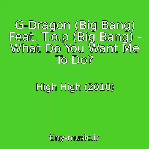 کاور آهنگ G-Dragon (Big Bang) Feat. T.o.p (Big Bang) - What Do You Want Me To Do? از High High (2010)
