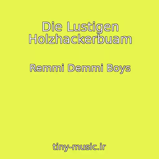 کاور آهنگ Die Lustigen Holzhackerbuam از Remmi Demmi Boys