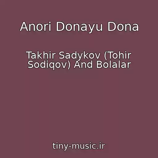 کاور آهنگ Anori Donayu Dona از Takhir Sadykov (Tohir Sodiqov) And Bolalar