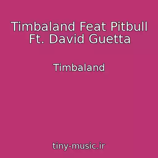 کاور آهنگ Timbaland Feat Pitbull Ft. David Guetta از Timbaland