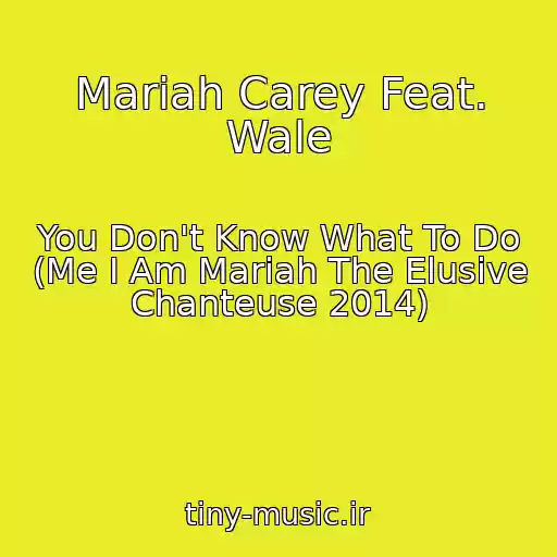 کاور آهنگ Mariah Carey Feat. Wale از You Don't Know What To Do (Me I Am Mariah The Elusive Chanteuse 2014)