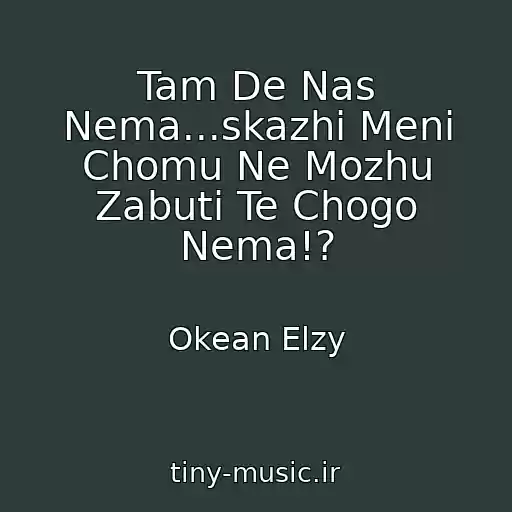 کاور آهنگ Tam De Nas Nema...skazhi Menі Chomu Ne Mozhu Zabuti Te Chogo Nema!? از Okean Elzy