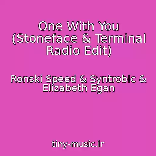 کاور آهنگ One With You (Stoneface & Terminal Radio Edit) از Ronski Speed & Syntrobic & Elizabeth Egan