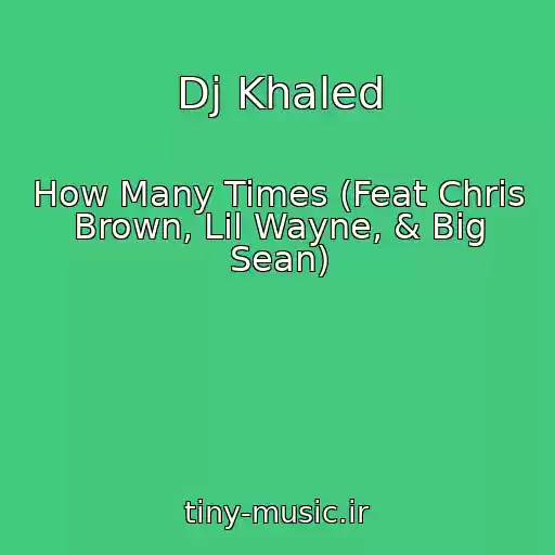 کاور آهنگ Dj Khaled از How Many Times (Feat Chris Brown, Lil Wayne, & Big Sean)