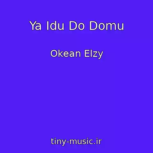 کاور آهنگ Ya Іdu Do Domu از Okean Elzy