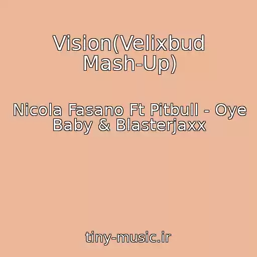 کاور آهنگ Vision(Velixbud Mash-Up) از Nicola Fasano Ft Pitbull - Oye Baby & Blasterjaxx
