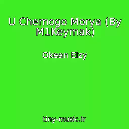 کاور آهنگ U Chernogo Morya (By M1Keymak) از Okean Elzy