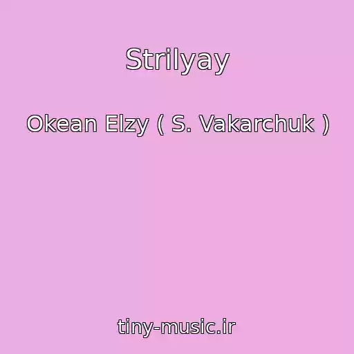 کاور آهنگ Strilyay از Okean Elzy ( S. Vakarchuk )