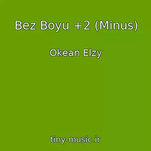 کاور آهنگ Bez Boyu +2 (Minus) از Okean Elzy