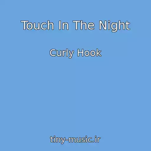 کاور آهنگ Touch In The Night از Curly Hook