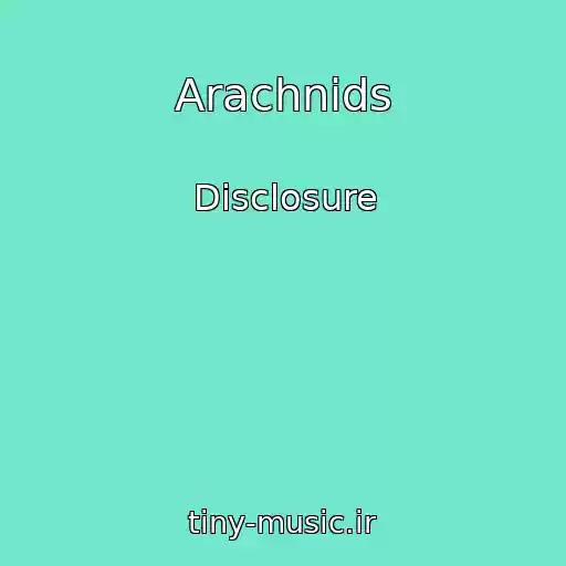 کاور آهنگ Arachnids از Disclosure