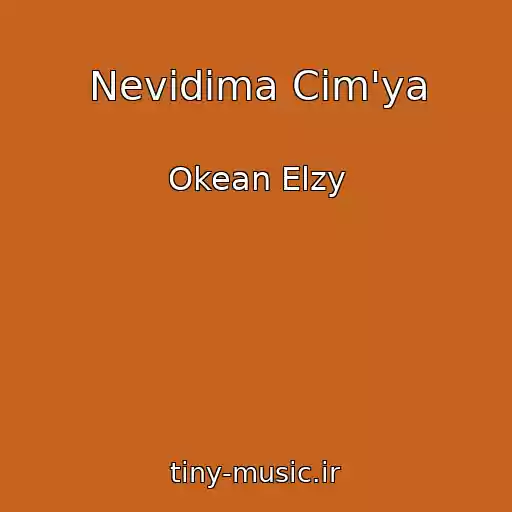 کاور آهنگ Nevidima Cim'ya از Okean Elzy