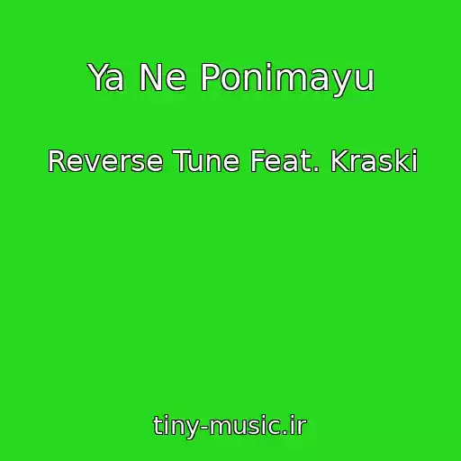 کاور آهنگ Ya Ne Ponimayu از Reverse Tune Feat. Kraski