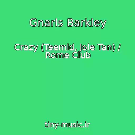 کاور آهنگ Gnarls Barkley از Crazy (Teemid, Joie Tan) / Rome Club