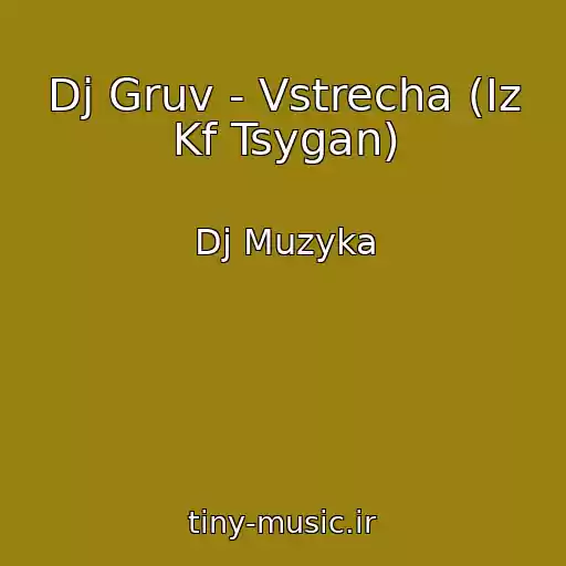 کاور آهنگ Dj Gruv - Vstrecha (Iz Kf Tsygan) از Dj Muzyka
