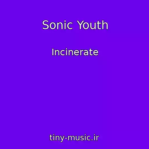 کاور آهنگ Sonic Youth از Incinerate